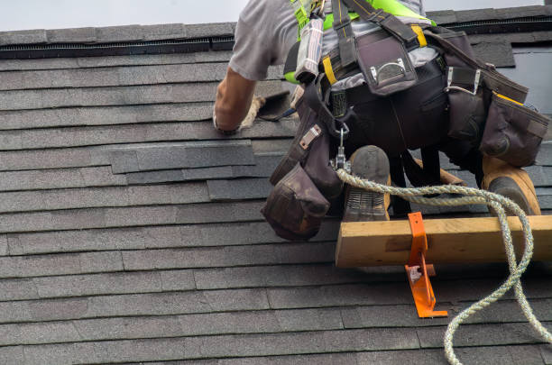 Best Emergency Roof Repair Services  in Roxana, IL